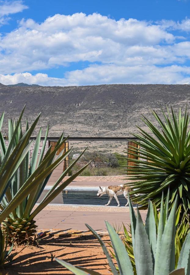 Вілла Casa Regina Oaxaca San Pablo Villa de Mitla Екстер'єр фото